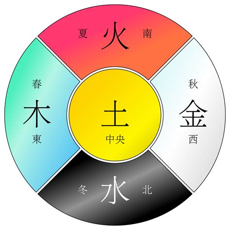 木的五行|五行